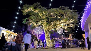 江の島シーキャンドルに投稿された画像（2023/1/9）