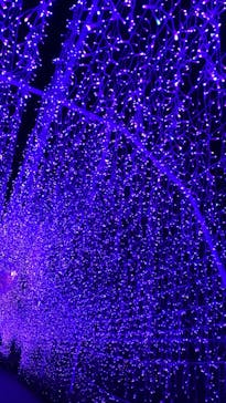 江の島シーキャンドルに投稿された画像（2023/1/9）