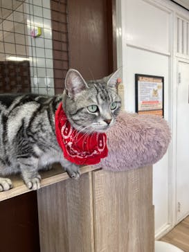 東武動物公園に投稿された画像（2023/1/9）