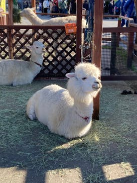 東武動物公園に投稿された画像（2023/1/9）