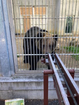 東武動物公園に投稿された画像（2023/1/9）