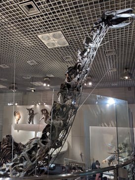 国立科学博物館に投稿された画像（2023/1/9）