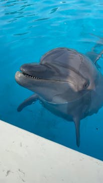 南知多ビーチランド＆南知多おもちゃ王国に投稿された画像（2023/1/9）