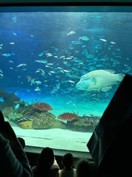 サンシャイン水族館に投稿された画像（2023/1/9）