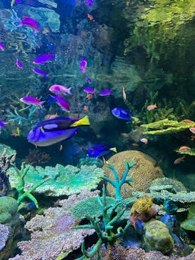 サンシャイン水族館に投稿された画像（2023/1/9）