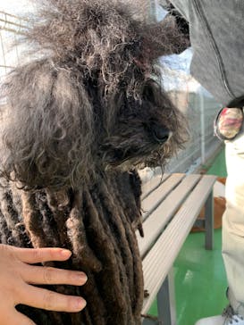 つくばわんわんランドに投稿された画像（2023/1/9）