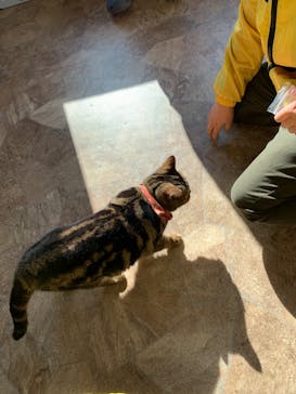 つくばわんわんランドに投稿された画像（2023/1/9）