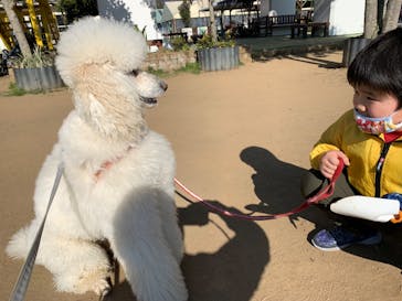 つくばわんわんランドに投稿された画像（2023/1/9）