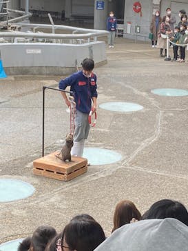 大分マリーンパレス水族館 「うみたまご」に投稿された画像（2023/1/9）