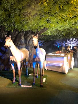 東京メガイルミに投稿された画像（2023/1/9）