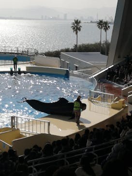 マリンワールド海の中道に投稿された画像（2023/1/9）