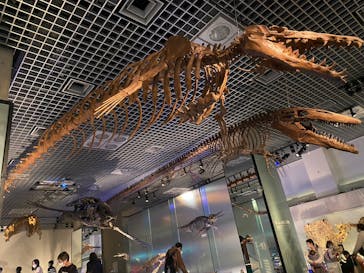 国立科学博物館に投稿された画像（2023/1/9）