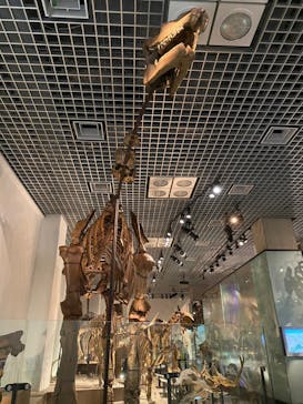 国立科学博物館に投稿された画像（2023/1/9）