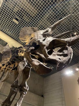 国立科学博物館に投稿された画像（2023/1/9）