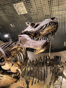 国立科学博物館に投稿された画像（2023/1/9）