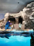 名古屋港水族館に投稿された画像（2023/1/9）