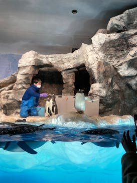 名古屋港水族館に投稿された画像（2023/1/9）