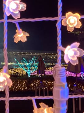 東京メガイルミに投稿された画像（2023/1/9）