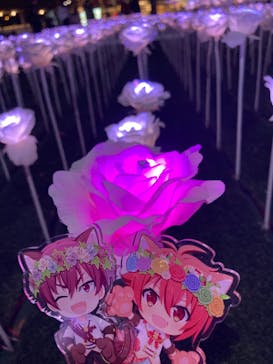 東京メガイルミに投稿された画像（2023/1/9）