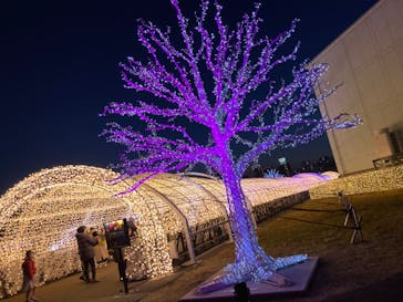 東京メガイルミに投稿された画像（2023/1/9）