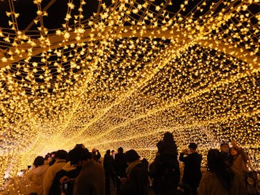 東京メガイルミに投稿された画像（2023/1/9）