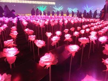 東京メガイルミに投稿された画像（2023/1/9）