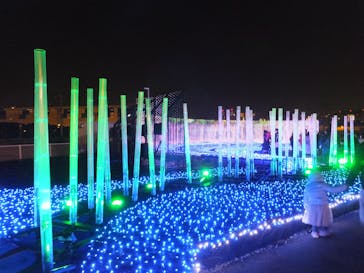 東京メガイルミに投稿された画像（2023/1/9）