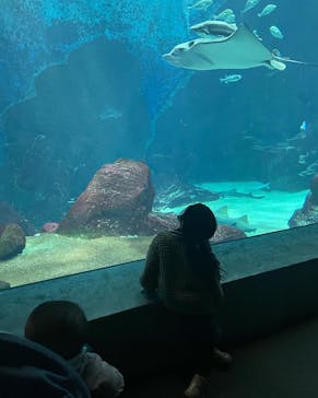 マリンワールド海の中道に投稿された画像（2023/1/9）