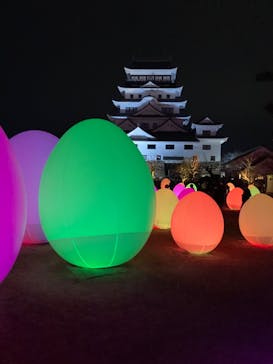 福山城400年博-FUKUYAMA CASTLE EXPO 2022- RCC開局70年 「チームラボ 福山城 光の祭」に投稿された画像（2023/1/9）