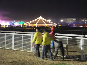 東京メガイルミに投稿された画像（2023/1/9）