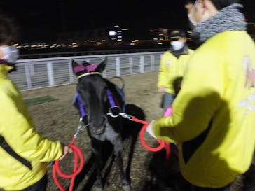 東京メガイルミに投稿された画像（2023/1/9）