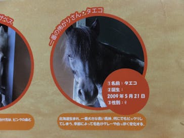 東京メガイルミに投稿された画像（2023/1/9）