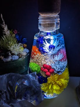 ずこうしつ〜sugamo〜に投稿された画像（2023/1/9）