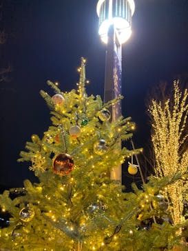 安城産業文化公園デンパークに投稿された画像（2023/1/9）