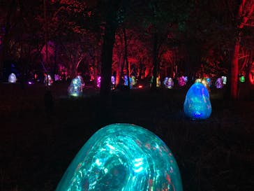 チームラボ ボタニカルガーデン 大阪に投稿された画像（2023/1/9）