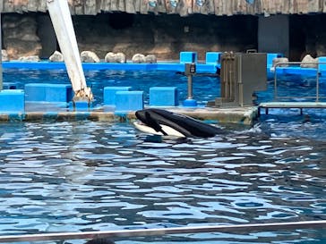 名古屋港水族館に投稿された画像（2023/1/9）