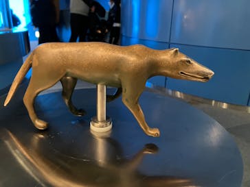 名古屋港水族館に投稿された画像（2023/1/9）