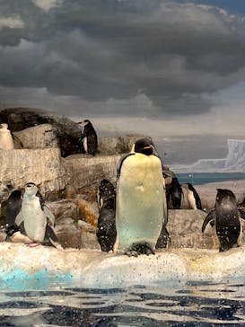 名古屋港水族館に投稿された画像（2023/1/9）