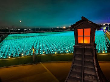 東京メガイルミに投稿された画像（2023/1/9）