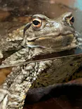 天王寺動物園に投稿された画像（2023/1/10）