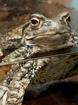 天王寺動物園に投稿された画像（2023/1/9）