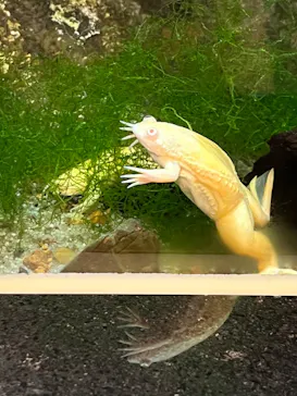 天王寺動物園に投稿された画像（2023/1/9）