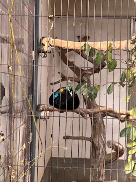 天王寺動物園に投稿された画像（2023/1/9）