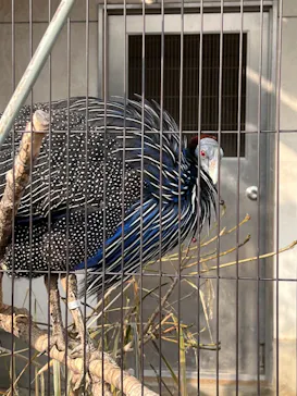 天王寺動物園に投稿された画像（2023/1/9）