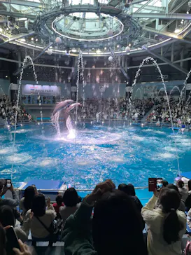マクセル アクアパーク品川に投稿された画像（2023/1/9）