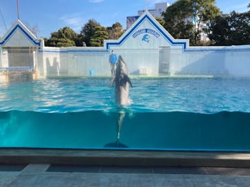 しながわ水族館に投稿された画像（2023/1/9）