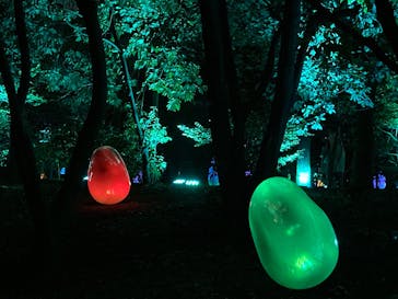 チームラボ ボタニカルガーデン 大阪に投稿された画像（2023/1/9）