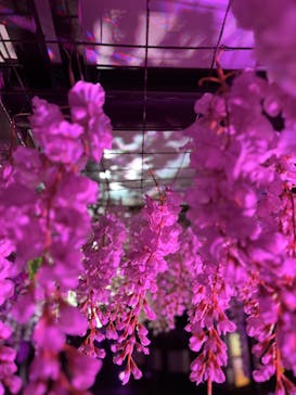 東京メガイルミに投稿された画像（2023/1/9）