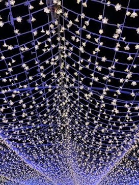 東京メガイルミに投稿された画像（2023/1/9）