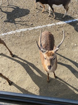 岩手サファリパークに投稿された画像（2023/1/9）